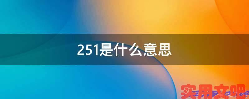 251是什么意思