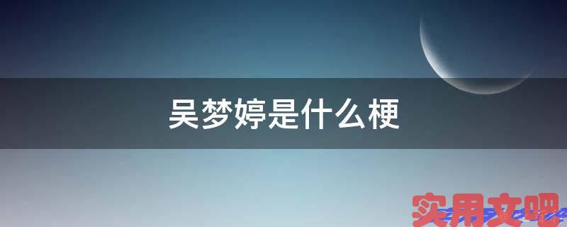 吴梦婷是什么梗