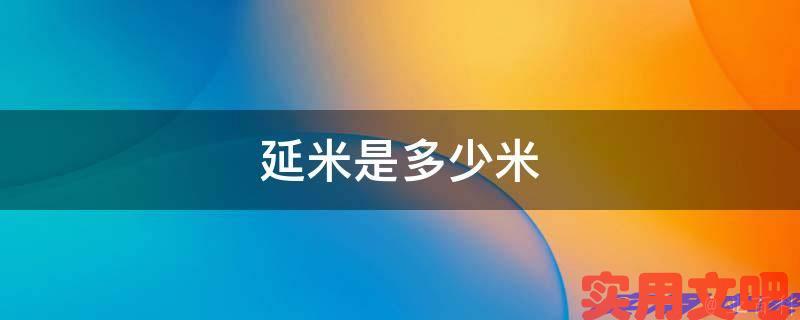 延米是多少米