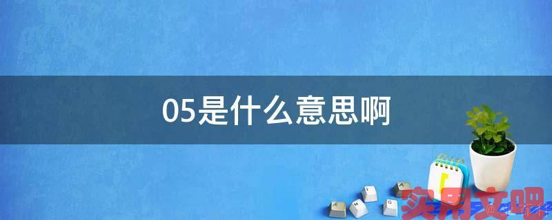 05是什么意思啊