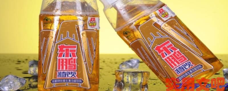东鹏特饮公司简介