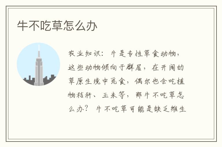 牛不吃草怎么办